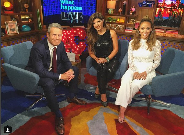 Teresa Giudice Blames Jacqueline Laurita For Calling Feds! Kim D Slams ...