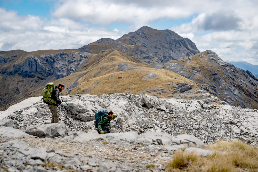 Tyrie and Ethan on Race to Survive: New Zealand