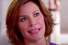 Luann De Lesseps Net Worth 2024: How Much Money Does RHONY Star Make?