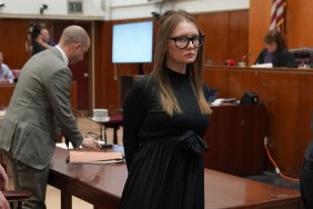 Anna Devely in a courtroom