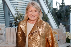 DIY legend Martha Stewart in a gold jacket.