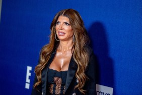 teresa giudice paid bloggers