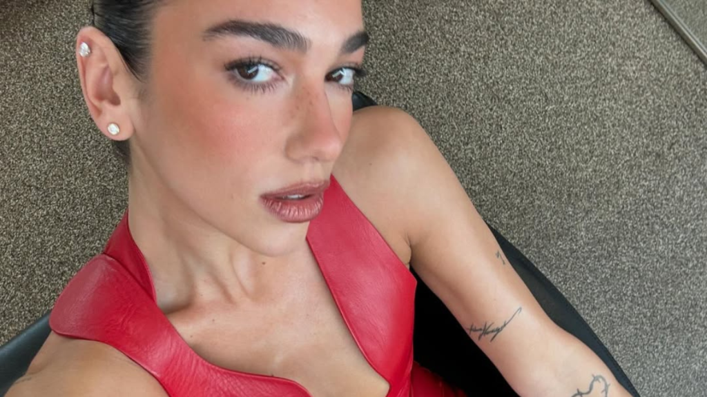 Dua Lipa career Service95 Instagram photos