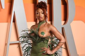 Megan Thee Stallion Oscars gown photos